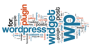 Plugin Terbaik wordpress